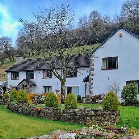 Neuadd Wen Guest House Carmarthen Esterno foto
