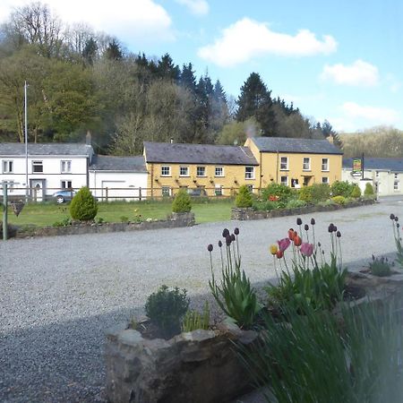 Neuadd Wen Guest House Carmarthen Esterno foto