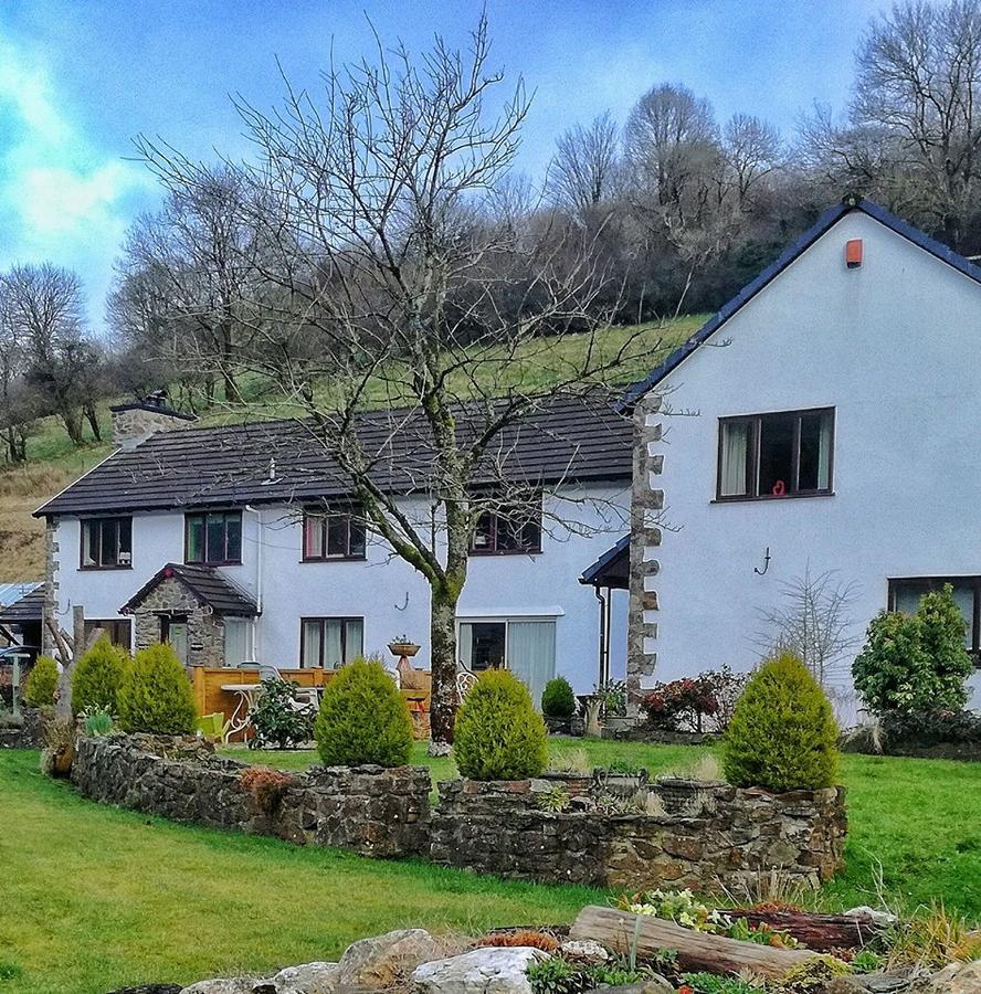Neuadd Wen Guest House Carmarthen Esterno foto