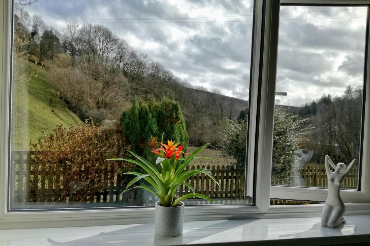 Neuadd Wen Guest House Carmarthen Esterno foto